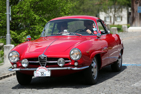 Alfa Romeo Giulia 1600 Sport Speciale (1964) - am Treffen italienischer Oldtimerautos Italiauto 2013