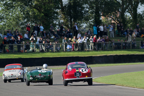 Ferrari 250 GT Tour de France (1958) - im Rennen um die Fordwater Trophy am Goodwood Revival 2013 (1958) Ferrari 250 GT Tour de France (1958) - im Rennen um die Fordwater Trophy am Goodwood Revival 2013 (1958)