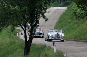 Mercedes Benz 220 S Cabriolet W 180 (1958) - ADAC Trentino Classic 2013 - Oldtimer-Wanderung um den Autozug-Pokal (1958) Mercedes Benz 220 S Cabriolet W 180 (1958) - ADAC Trentino Classic 2013 - Oldtimer-Wanderung um den Autozug-Pokal (1958)