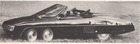 Bild: Panther 6