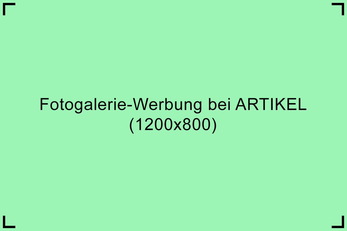 Bild von Partner Platzhalter 1 Grün