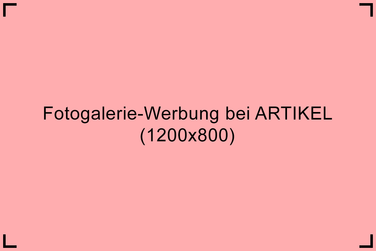 Bild von Partner Platzhalter 4 Rot