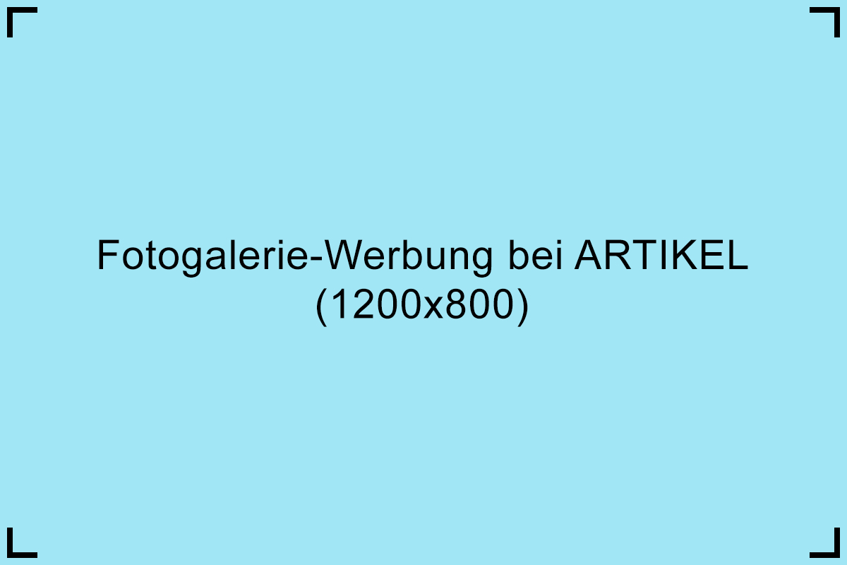 Bild von Partner Platzhalter 2 Blau